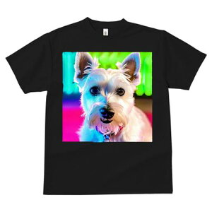 EGXgnChzCgeA TVc  j[NfUCY LbY t@  t vg lJWA 킢 lԗp Mtg I ҏ΍ wi EGXgnC