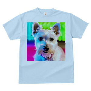 �E�G�X�g�n�C�����h�z���C�g�e���A T�V���c ���� ���j�[�N�f�U�C�����f�B�[�X ���t�@�� ���� �t�� �v�����g ��l�J�W���A�� ���킢�� �l�ԗp �M�t�g ���I �ҏ��΍� �w�i �E�G�X�g�n�C����