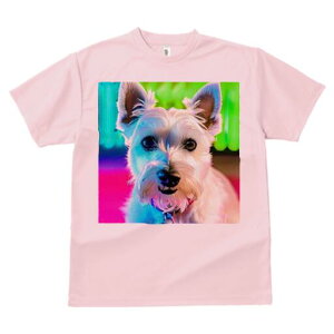 EGXgnChzCgeA TVc  j[NfUCfB[X t@  t vg lJWA 킢 lԗp Mtg I ҏ΍ wi EGXgnC