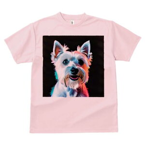 EGXgnChzCgeA TVc  j[NfUCfB[X t@  t vg lJWA 킢 lԗp Mtg I ҏ΍ EGXgnChz