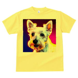 EGXgnChzCgeA TVc  j[NfUCfB[X t@  t vg lJWA 킢 lԗp Mtg I ҏ΍ EGXgnChz