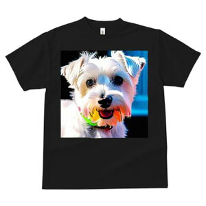 ~j`AViEU[ TVc  j[NfUCfB[X t@  t vg lJWA 킢 lԗp Mtg I ҏ΍  ~j`AViEU[ yb