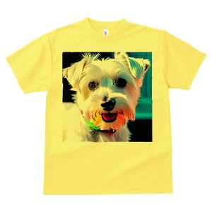 ~j`AViEU[ TVc  j[NfUCfB[X t@  t vg lJWA 킢 lԗp Mtg I ҏ΍  ~j`AViEU[ yb