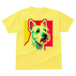 EGXgnChzCgeA TVc  j[NfUCfB[X t@  t vg lJWA 킢 lԗp Mtg I ҏ΍ |bvA[g EGXg