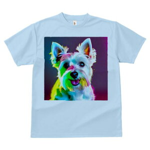 EGXgnChzCgeA TVc  j[NfUCfB[X t@  t vg lJWA 킢 lԗp Mtg I ҏ΍ Jt EGXgnC