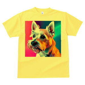 EGXgnChzCgeA TVc  j[NfUCfB[X t@  t vg lJWA 킢 lԗp Mtg I ҏ΍ EGXgnChz