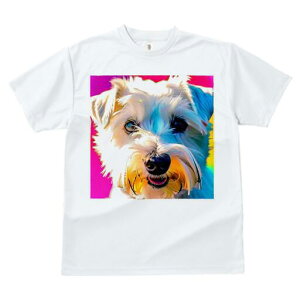 ~j`AViEU[ TVc  j[NfUCfB[X t@  t vg lJWA 킢 lԗp Mtg I ҏ΍ ~j`AViEU[