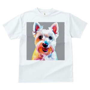 EGXgnChzCgeA TVc  j[NfUCfB[X t@  t vg lJWA 킢 lԗp Mtg I ҏ΍  EGXgnCh