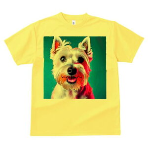 EGXgnChzCgeA TVc  j[NfUCfB[X t@  t vg lJWA 킢 lԗp Mtg I ҏ΍ EGXgnChz