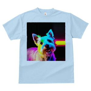 EGXgnChzCgeA TVc  j[NfUCfB[X t@  t vg lJWA 킢 lԗp Mtg I ҏ΍ EGXgnChz