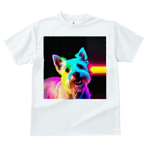 EGXgnChzCgeA TVc  j[NfUCY LbY t@  t vg lJWA 킢 lԗp Mtg I ҏ΍ EGXgnCh