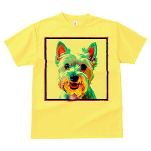 EGXgnChzCgeA TVc  j[NfUCY LbY t@  t vg lJWA 킢 lԗp Mtg I ҏ΍ EGXgnCh