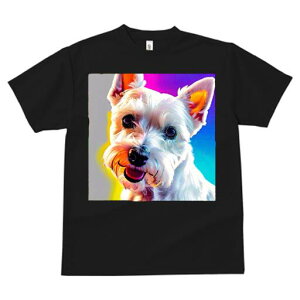 EGXgnChzCgeA TVc  j[NfUCfB[X t@  t vg lJWA 킢 lԗp Mtg I ҏ΍ Jt EGXgnC