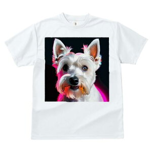 EGXgnChzCgeA TVc  j[NfUCfB[X t@  t vg lJWA 킢 lԗp Mtg I ҏ΍ ybg EGXgnC