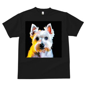 ~j`AViEU[ TVc  j[NfUCfB[X t@  t vg lJWA 킢 lԗp Mtg I ҏ΍ ~j`AViEU[