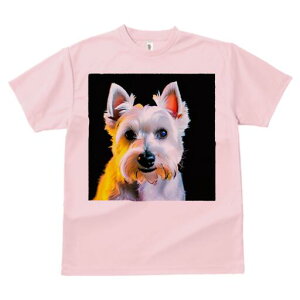 ~j`AViEU[ TVc  j[NfUCfB[X t@  t vg lJWA 킢 lԗp Mtg I ҏ΍ ~j`AViEU[