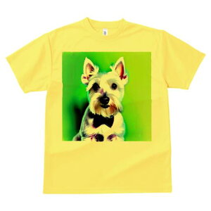 ~j`AViEU[ TVc  j[NfUCfB[X t@  t vg lJWA 킢 lԗp Mtg I ҏ΍ lN^C ~j`AViEU