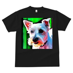 EGXgnChzCgeA TVc  j[NfUCfB[X t@  t vg lJWA 킢 lԗp Mtg I ҏ΍ wi EGXgnC