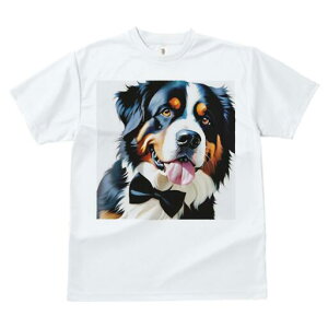 o[j[Y}EehbO TVc  j[NfUCfB[X t@  t vg lJWA 킢 lԗp Mtg I ҏ΍ lN^C o[j[Y}E