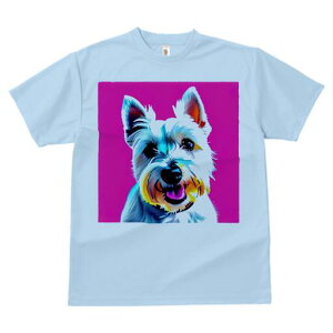 EGXgnChzCgeA TVc  j[NfUCfB[X t@  t vg lJWA 킢 lԗp Mtg I ҏ΍ EGXgnChz