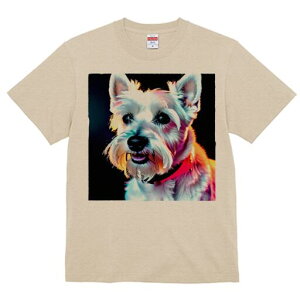 EGXgnChzCgeA TVc  j[NfUCfB[X t@  t vg lJWA 킢 lԗp Mtg I ҏ΍ EGXgnChz