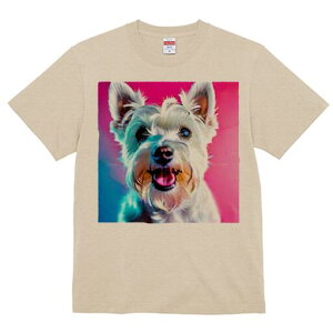 EGXgnChzCgeA TVc  j[NfUCfB[X t@  t vg lJWA 킢 lԗp Mtg I ҏ΍ EGXgnChz