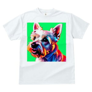 EGXgnChzCgeA TVc  j[NfUCfB[X t@  t vg lJWA 킢 lԗp Mtg I ҏ΍ Jt EGXgnC