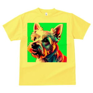 EGXgnChzCgeA TVc  j[NfUCfB[X t@  t vg lJWA 킢 lԗp Mtg I ҏ΍ Jt EGXgnC