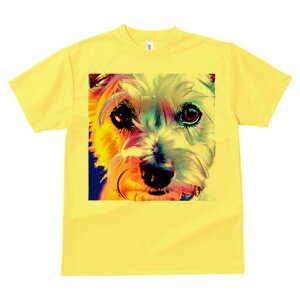 }`[Y TVc  j[NfUCfB[X t@  t vg lJWA 킢 lԗp Mtg I ҏ΍ }`[Y