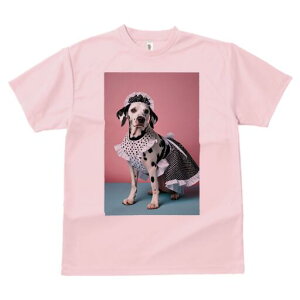 _VA TVc  j[NfUCfB[X t@  t vg lJWA 킢 lԗp Mtg I ҏ΍ Ch _VA 