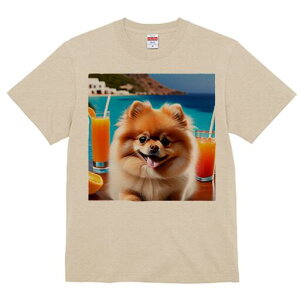 |jA TVc  j[NfUCfB[X t@  t vg lJWA 킢 lԗp Mtg I ҏ΍ W[X |jA C r[`