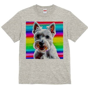 EGXgnChzCgeA TVc  j[NfUCfB[X t@  t vg lJWA 킢 lԗp Mtg I ҏ΍ C{[ EGXgn