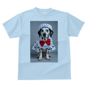 _VA TVc  j[NfUCfB[X t@  t vg lJWA 킢 lԗp Mtg I ҏ΍ Gv _VA Xq {