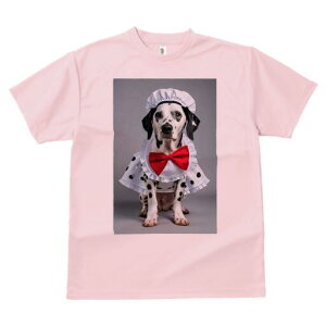 _VA TVc  j[NfUCY LbY t@  t vg lJWA 킢 lԗp Mtg I ҏ΍ Gv _VA Xq {