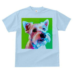 EGXgnChzCgeA TVc  j[NfUCfB[X t@  t vg lJWA 킢 lԗp Mtg I ҏ΍ EGXgnChz