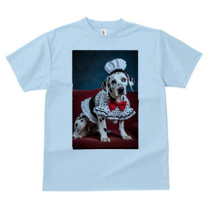 _VA TVc  j[NfUCY LbY t@  t vg lJWA 킢 lԗp Mtg I ҏ΍ RbNX _VA ԂlN^C 