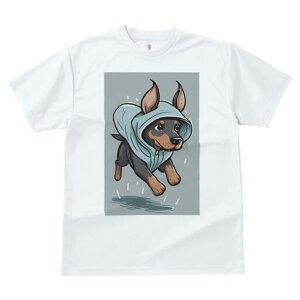 ~j`AsV[ TVc  j[NfUCfB[X t@  t vg lJWA 킢 lԗp Mtg I ҏ΍ J ~j`AsV[ p[J[