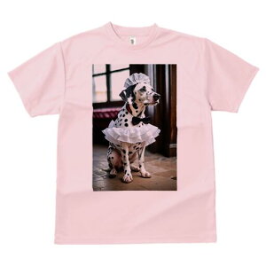 _VA TVc  j[NfUCfB[X t@  t vg lJWA 킢 lԗp Mtg I ҏ΍ Ch _VA lN^C