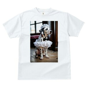 _VA TVc  j[NfUCfB[X t@  t vg lJWA 킢 lԗp Mtg I ҏ΍ Ch _VA lN^C