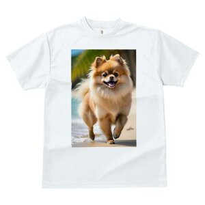 |jA TVc  j[NfUCfB[X t@  t vg lJWA 킢 lԗp Mtg I ҏ΍ r[` |jA C l 