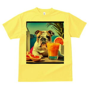 uhbO TVc  j[NfUCfB[X t@  t vg lJWA 킢 lԗp Mtg I ҏ΍ W[X uhbO OX IW