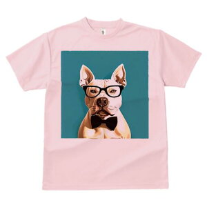 AJsbgueA TVc  j[NfUCY LbY t@  t vg lJWA 킢 lԗp Mtg I ҏ΍ Kl AJsbg