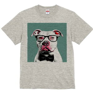 AJsbgueA TVc  j[NfUCfB[X t@  t vg lJWA 킢 lԗp Mtg I ҏ΍ Kl AJsbgu