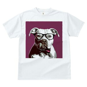 AJsbgueA TVc  j[NfUCY LbY t@  t vg lJWA 킢 lԗp Mtg I ҏ΍ Kl AJsbg