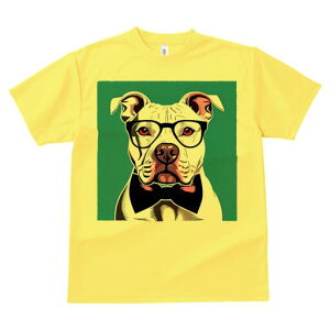 AJsbgueA TVc  j[NfUCY LbY t@  t vg lJWA 킢 lԗp Mtg I ҏ΍ Kl AJsbg