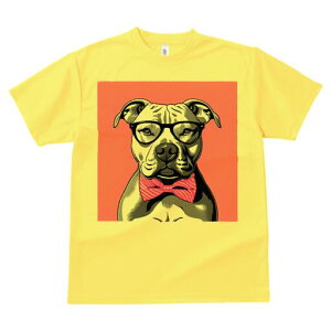 AJsbgueA TVc  j[NfUCfB[X t@  t vg lJWA 킢 lԗp Mtg I ҏ΍ Kl AJsbgu