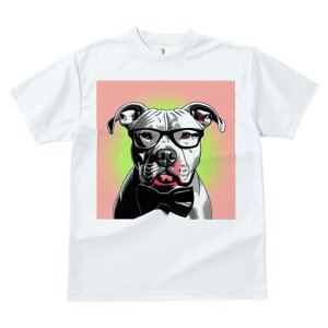 AJsbgueA TVc  j[NfUCfB[X t@  t vg lJWA 킢 lԗp Mtg I ҏ΍ Kl AJsbgu