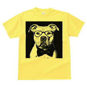 AJsbgueA TVc  j[NfUCY LbY t@  t vg lJWA 킢 lԗp Mtg I ҏ΍ Kl AJsbg