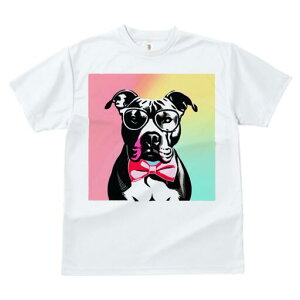 AJsbgueA TVc  j[NfUCfB[X t@  t vg lJWA 킢 lԗp Mtg I ҏ΍ Kl AJsbgu