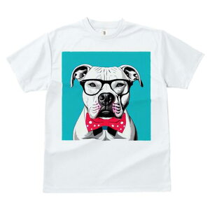 AJuhbO TVc  j[NfUCfB[X t@  t vg lJWA 킢 lԗp Mtg I ҏ΍ Kl AJuhbO l